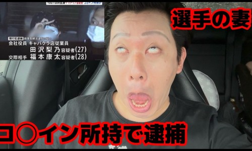 真假海狗鞭对照图-海狗肾又叫什么药名、海狗肾又叫什么药名 -海狗肾图片网