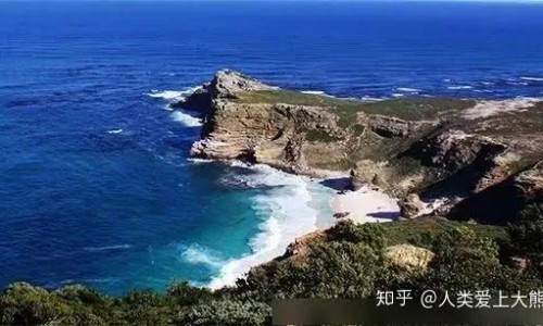 海狗肾又叫什么药名、海狗肾又叫什么药名 -海狗肾图片网