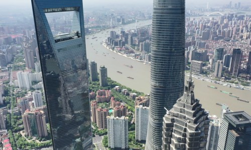 真假海狗鞭对照图-海狗肾又叫什么药名、海狗肾又叫什么药名 -海狗肾图片网